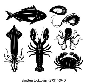 Seafood collection. Sea animal isolated on white for your work.