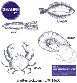 Seafood collection of shrimp, squid, crab, flounder. Vector sketch. Hand drawn illustration in line art style on white background.