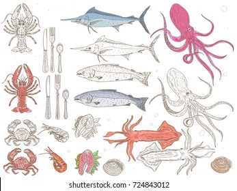 Seafood Collection. Vector hand drawn illustration with sea food. Sketch. 