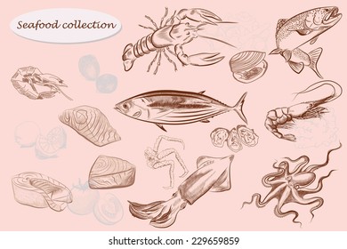 Seafood collection. Vector sketches