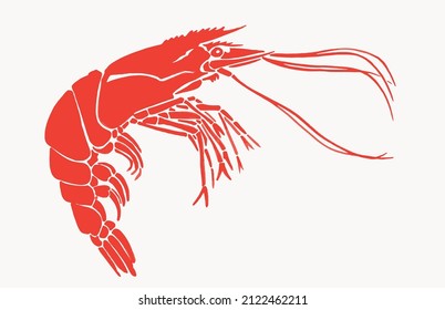 Seafood color element, red shrimp isolated on white, graphical vector illustration