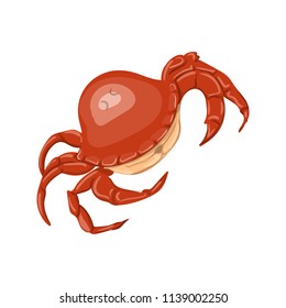 Seafood crab dinner menu items flat icons large set vector illustration