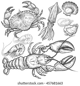Seafood. Crab, lobster, squid, prawns, oysters, scallops. Hand drawn black ink image set. Vector illustration. Isolated image on white background. Vintage style.