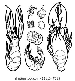 Seafood Crawfish Boil, Louisiana clipart, Shrimps, Fish, Lemon, Onion, Corn, Potatoes, Parsley. Squid Kitchen Illustration, printable poster. Line art. Hand painted 
