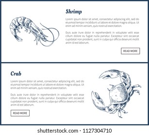 Seafood and crustacean icons vintage illustration. Hand drawn seafood set, decorative icons of shrimp and crab restaurant menu template vector sketch