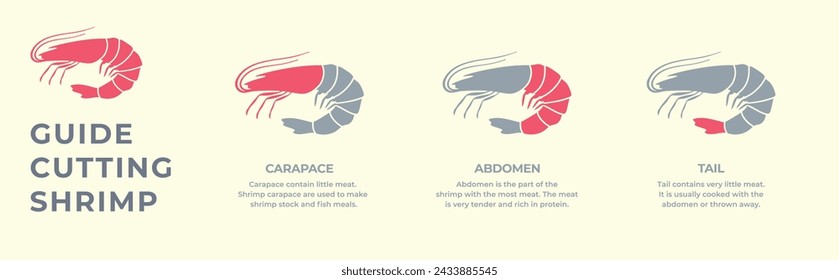 Seafood. Сrustaceans. Cutting guide meat shrimp, prawn carcass. Diagram сutting parts meat shrimp. Butcher guide seafood. Vector flat color drawing illustration. Isolated.