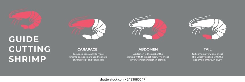 Seafood. Сrustaceans. Cutting guide meat shrimp, prawn carcass. Diagram сutting parts meat shrimp. Butcher guide seafood. Vector flat color drawing illustration. Isolated.