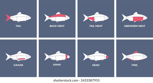 Seafood. Cutting meat fish carcass. Diagram сutting parts meat fish. Butcher guide seafood. Vector flat color drawing illustration. Isolated.