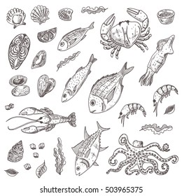 Seafood elements set. Hand drawn vector illustration. Octopus, lobster, salmon, crab, squid, shell, oyster, scallops, dorado, mollusk, mullet, sea bass, tuna, shrimp and other.