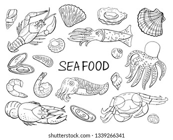 Seafood and fish black and white elements isolated on white background. Hand drawn seafood collection