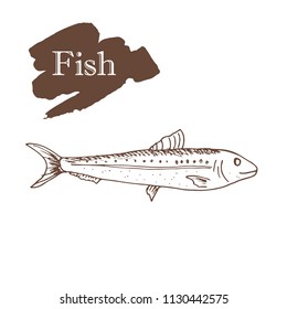 Seafood, fish collection, hand drawn vector, trout, flounder