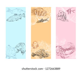 Seafood, fish, corals and seashells template banner set. Restaurant and cafe menu hand drawn sketch. Ticket to the aquarium design backgrounds.