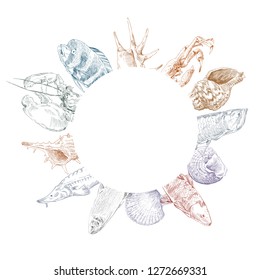 Seafood, fish and crabs backgrounds. Restaurant and cafe menu hand drawn sketch. Place mat design.