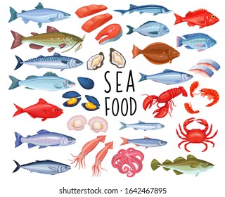 Seafood and fish icons. Lobster, squid, octopus, mussel, fish salmon, shrimp and scallop. Tuna, sterlet and halibut. Vector seafood of mollusk, oyster, sardine, anchovy, sea bass and herring.