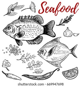 Seafood. Fish illustrations with spices. Design elements for poster, menu. Vector illustration