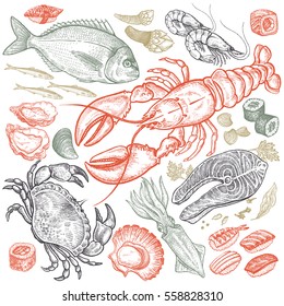 Seafood fish, shrimp, crab, lobster, octopus, mollusks, sushi color isolated on white background. Vintage illustration art. Vector set of food. Design for menu, cafes, restaurants, shops, fish markets