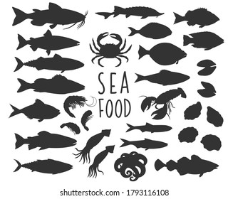 Seafood and fish silhouette icons. Tuna, sterlet and halibut. Lobster, squid, octopus, mussel, fish salmon, shrimp and scallop. Vector sea food of mollusk, oyster, anchovy, sea bass and herring.