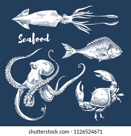 Seafood and fish sketch engraving illustration. Squid and crab, sea bass and octopus graphics isolated on blue, vintage food and restaurant design.