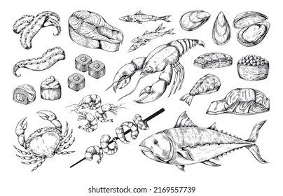 Seafood fish. Vintage food sketch. Animal sea products for Japanese sushi menu. Lobster and salmon. Kitchen gourmet cooking. Oysters or sashimi with caviar. Vector design elements set