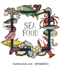 Seafood frame background. Isolated flat fish, shrimp, crab, shell, mussel, lobster, octopus, scallop sea food logo decoration. Restaurant design vector illustration