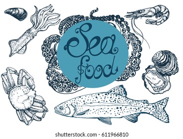 seafood freehand drawing