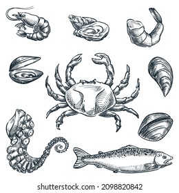 Seafood and fresh raw fish set. Hand drawn vector sketch illustration. Crab, octopus tentacle, shells, mussels, shrimp icons isolated on white background. Sea food restaurant market design elements