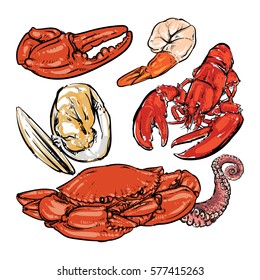 Seafood hand draw on white background. Crab & Shrimp doodle vector illustration. 