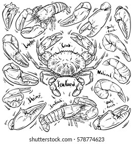 Seafood hand draw on white background. Crab & Lobster doodle vector illustration. 
