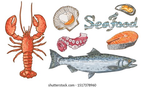 Seafood Hand Drawing. Lobster, Scallop Shell, Octopus Leg, Salmon Fish, Mussels