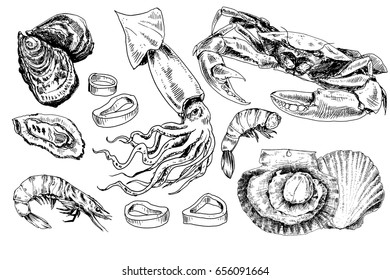 Seafood hand drawn collection with crab, scallop, shrimps and other sea animals in sketch style