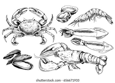 Seafood hand drawn collection with crab, lobster, mussels and other sea animals in sketch style