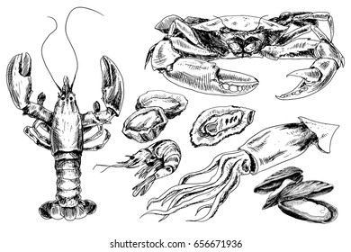 Seafood hand drawn collection with crab, lobster, shrimps and other sea animals in sketch style
