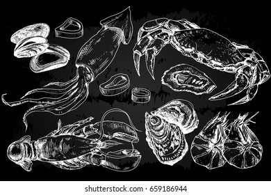 Seafood hand drawn collection with crab, lobster, shrimps and other sea animals in sketch style on chalkboard