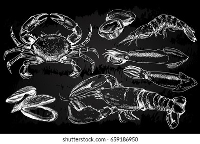 Seafood hand drawn collection with crab, lobster, shrimps and other sea animals in sketch style on chalkboard