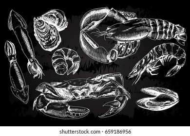 Seafood hand drawn collection with crab, lobster, shrimps and other sea animals in sketch style on chalkboard