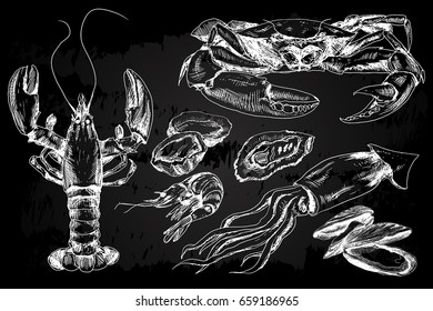 Seafood hand drawn collection with crab, lobster, shrimps and other sea animals in sketch style on chalkboard