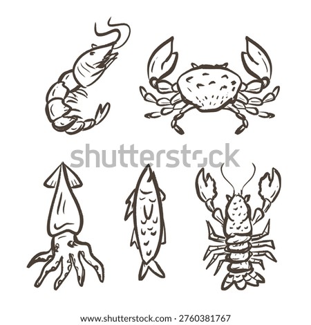 Seafood hand drawn illustration set. Seafood menu doodle collection. Sea creatures vector elements containing shrimp, crab, squid, fish, lobster.