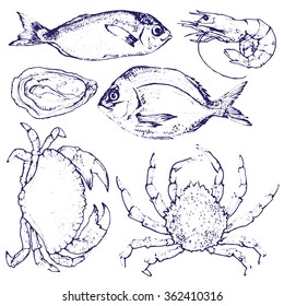 seafood hand drawn set vector illustration