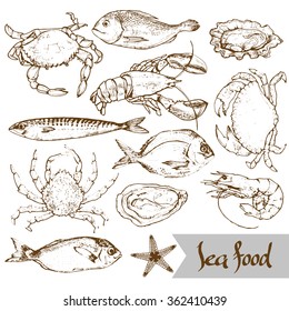 seafood hand drawn set vector illustration 