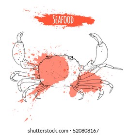 Seafood. Hand drawn sketch of crab isolated on white background with watercolor splashes. Vector illustration for graphic and web design, for restaurant, menu, fish market. Fresh organic food.