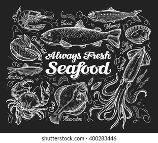 Seafood. Hand drawn sketch of a fish, trout, flounder, herring, squid, crab, anchovies, shrimp, scallop. vector illustration