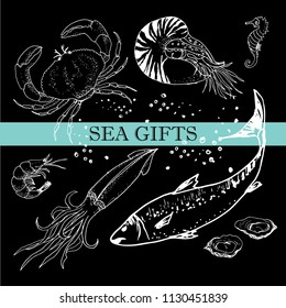 Seafood, hand drawn vector, fish, crab, shrimp squid, oyster, menu
