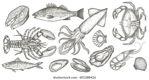 Seafood hand drawn vector illustrations isolated on white background, elements for restaurant menu design, decor, label. Engraving sketchy retro style. 