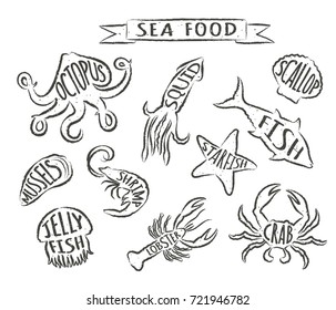 Seafood hand drawn vector illustrations isolated on white background, elements for restaurant menu design, decor, label. Grunge contours of sea animals with names.