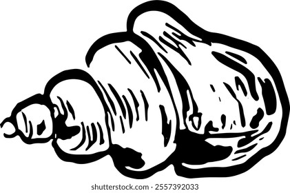 Seafood. Hand drawn vector isolated. Whelk