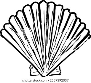 Seafood. Hand drawn vector isolated. Scallop
