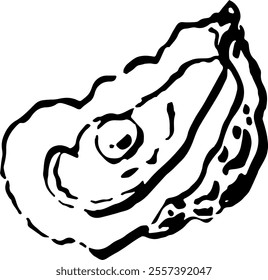 Seafood. Hand drawn vector isolated. Oyster 