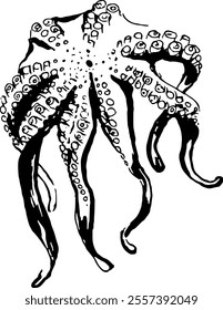 Seafood. Hand drawn vector isolated. Octopus 