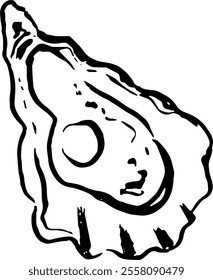 Seafood. Hand drawn vector isolated. Oyster 