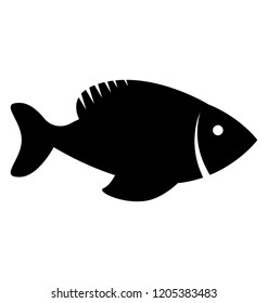 
Seafood healthy food, a fish
